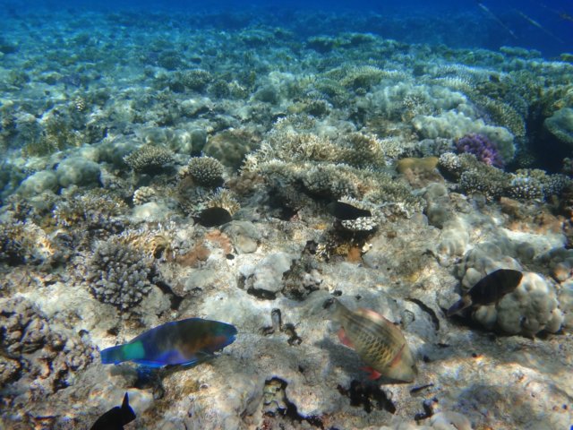dsc02472.jpg