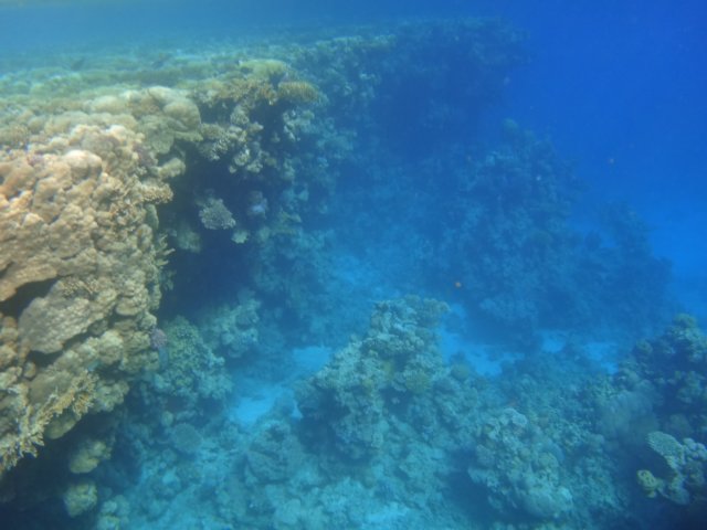 dsc02477.jpg