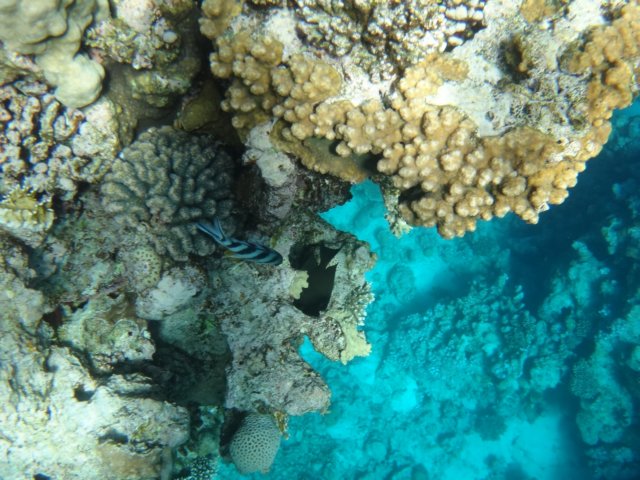 dsc02479.jpg