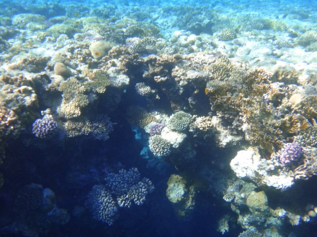 dsc02480.jpg