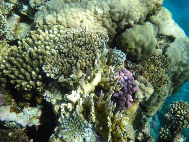 dsc02487.jpg