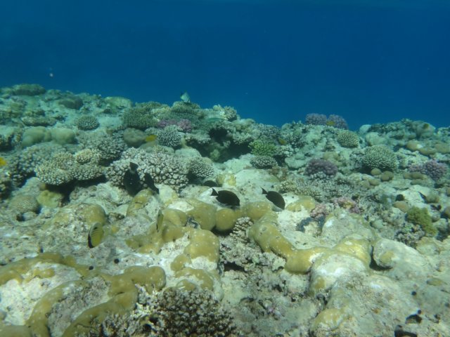 dsc02494.jpg