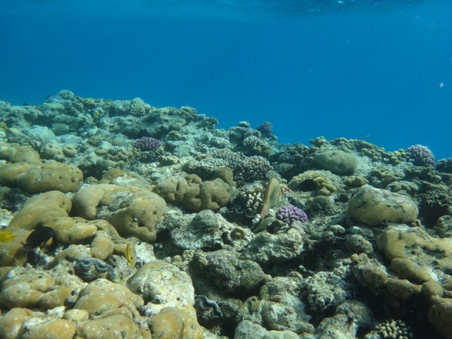 dsc02498.jpg