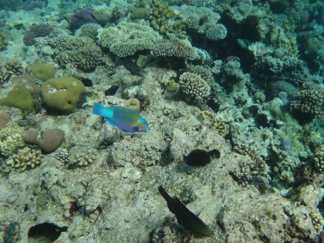 dsc02503.jpg