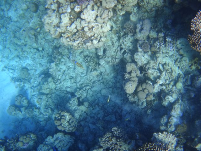 dsc02508.jpg