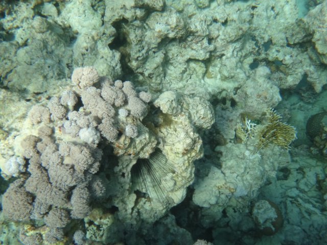 dsc02510.jpg