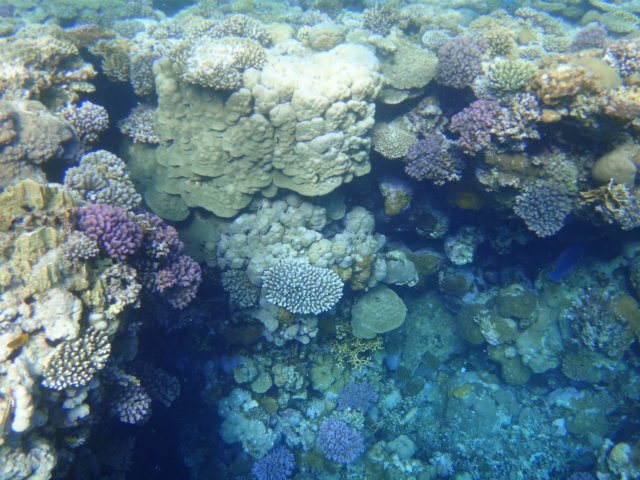 dsc02518.jpg
