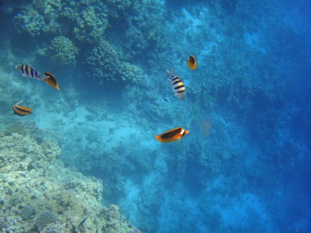 dsc02546.jpg