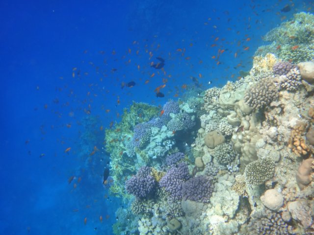 dsc02580.jpg