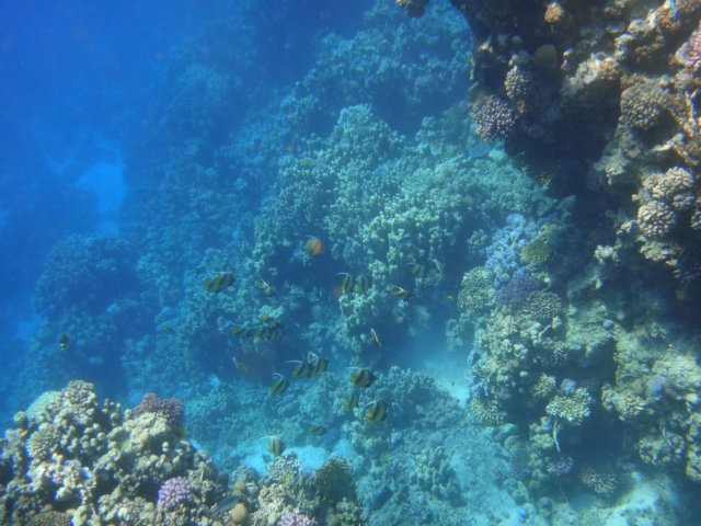 dsc02602.jpg