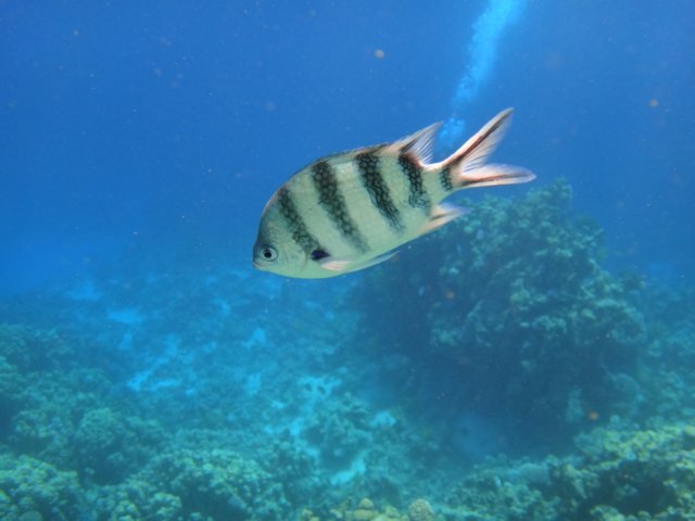dsc02607.jpg
