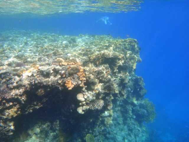 dsc02659.jpg