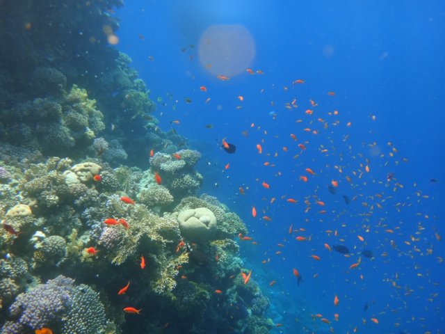 dsc02681.jpg