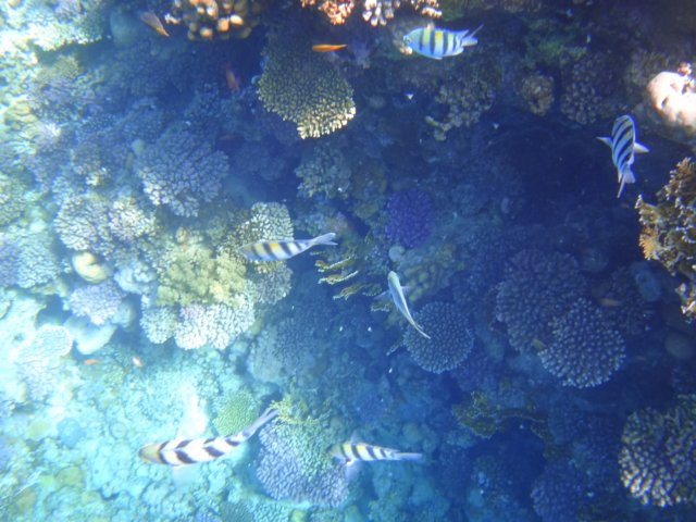 dsc02685.jpg