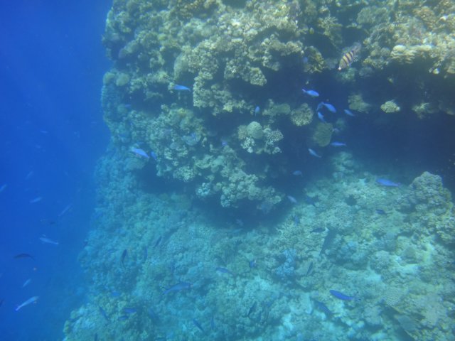 dsc02699.jpg