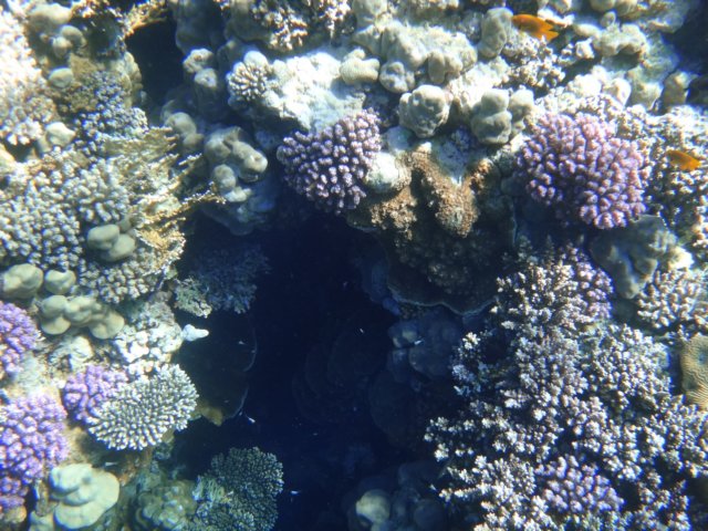 dsc02700.jpg