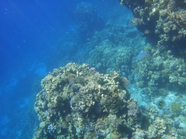 dsc02710.jpg