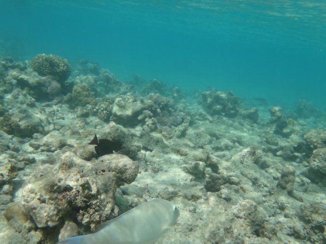 dsc02716.jpg