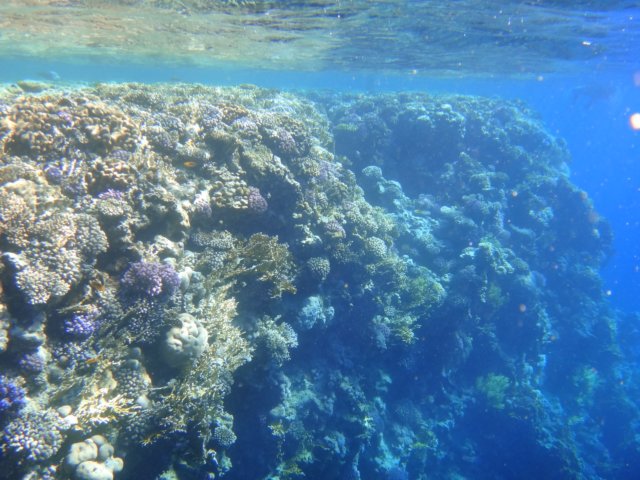 dsc02743.jpg