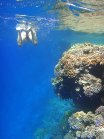 dsc02752.jpg