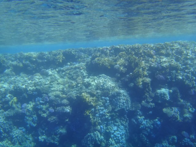 dsc02770.jpg