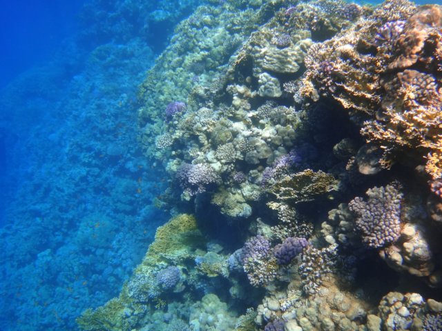 dsc02776.jpg