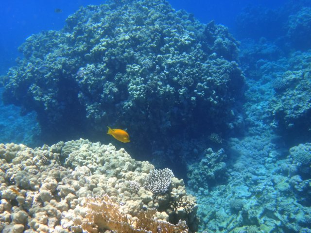 dsc02792.jpg