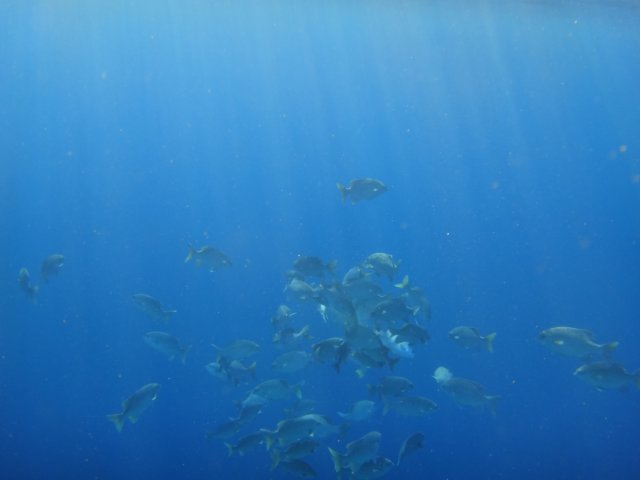 dsc02816.jpg