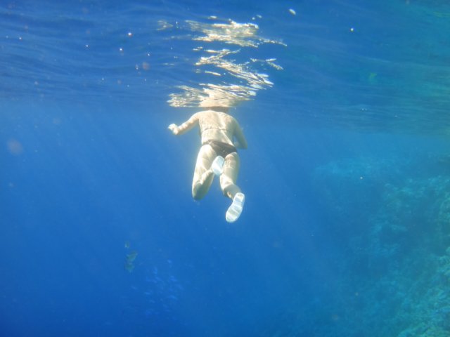 dsc02828.jpg
