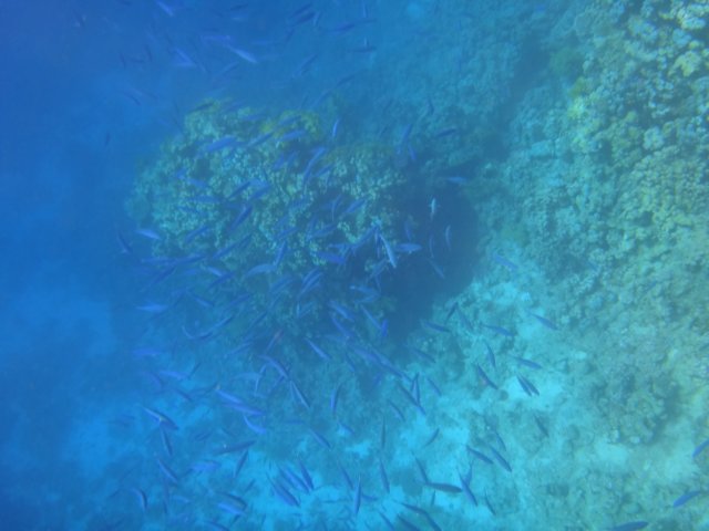 dsc02829.jpg