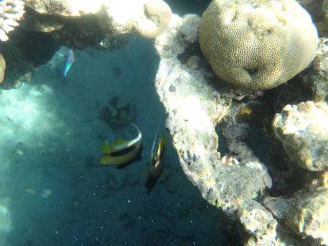 dsc02834.jpg