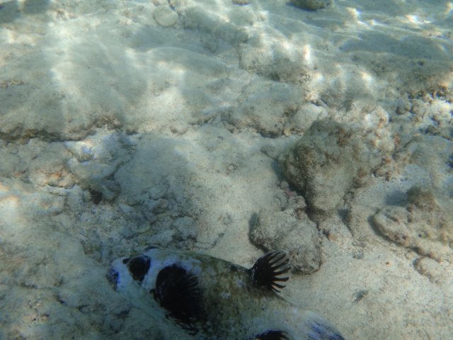 dsc02845.jpg