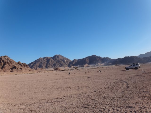 dsc02874.jpg
