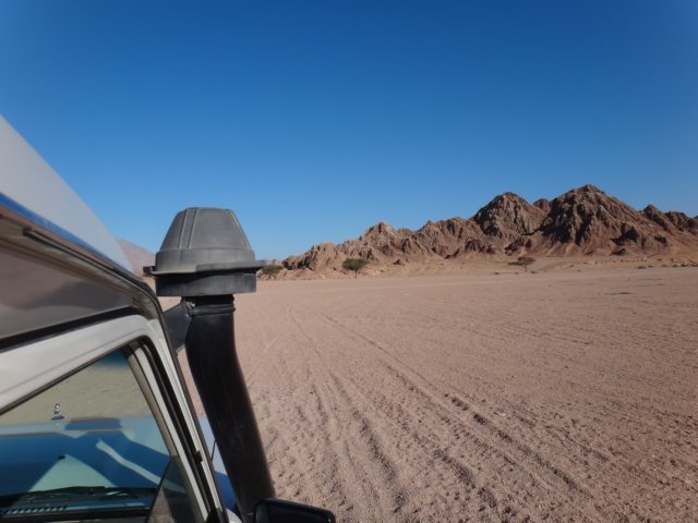 dsc02875.jpg