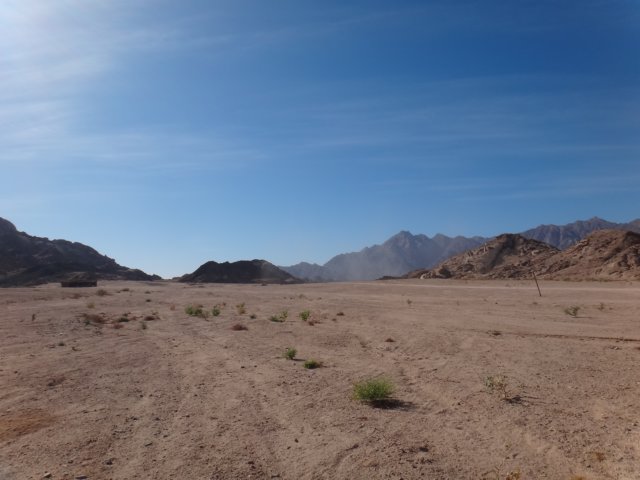 dsc02925.jpg