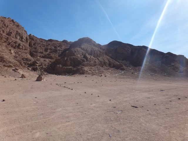 dsc02979.jpg