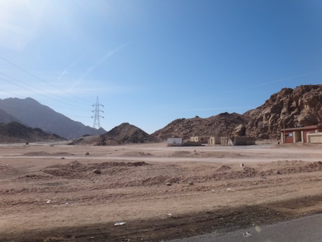 dsc02994.jpg