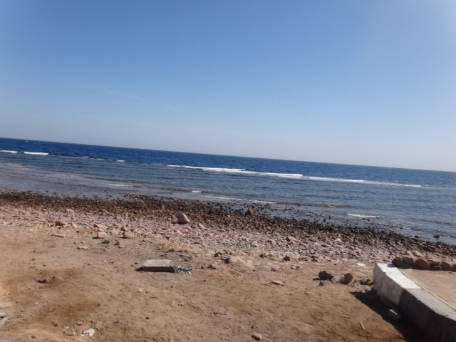 dsc03008.jpg