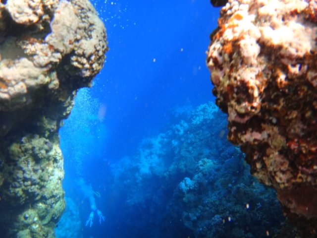 dsc03028.jpg