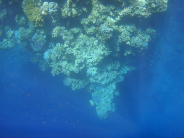 dsc03039.jpg