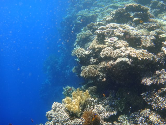 dsc03055.jpg