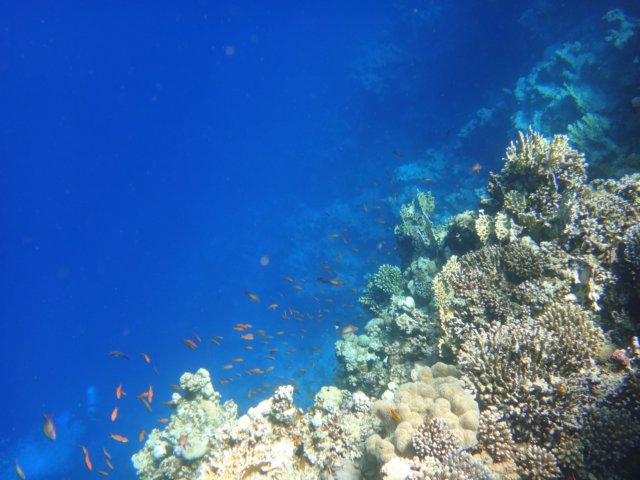 dsc03056.jpg