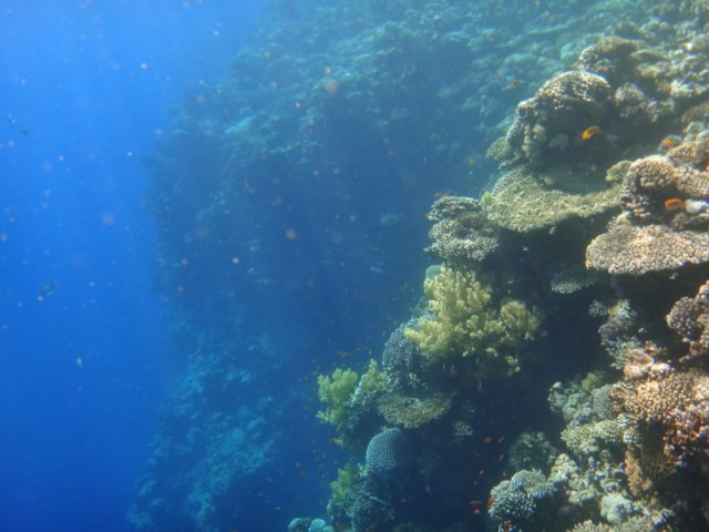 dsc03058.jpg
