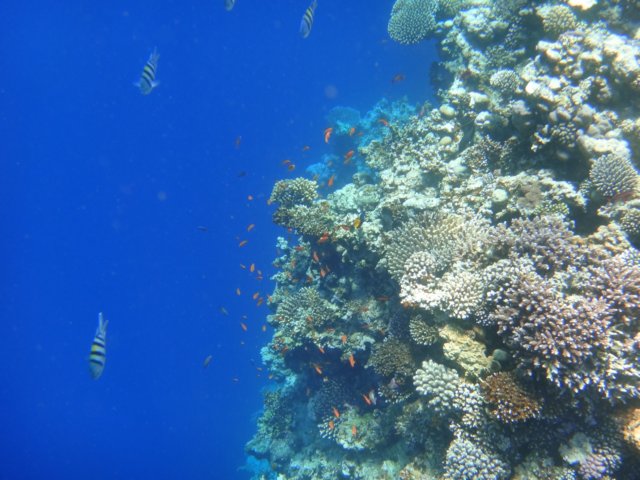 dsc03060.jpg