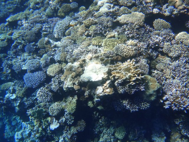 dsc03069.jpg