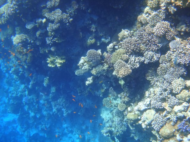 dsc03073.jpg