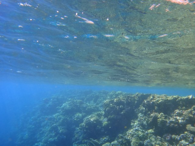dsc03076.jpg