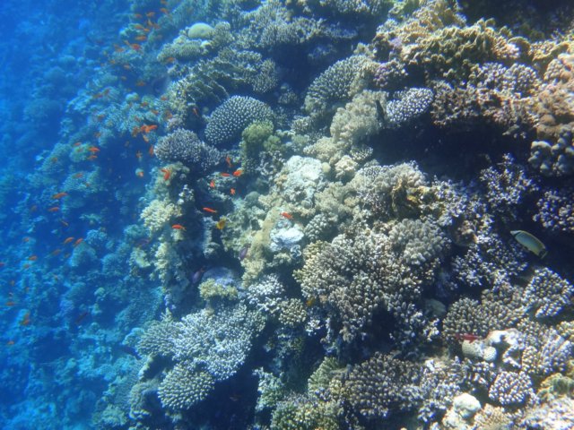 dsc03079.jpg