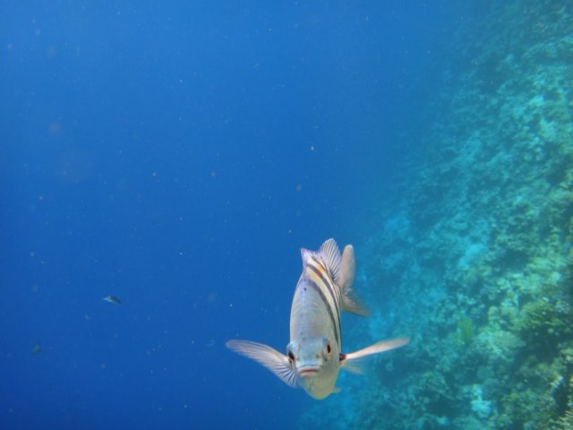 dsc03081.jpg