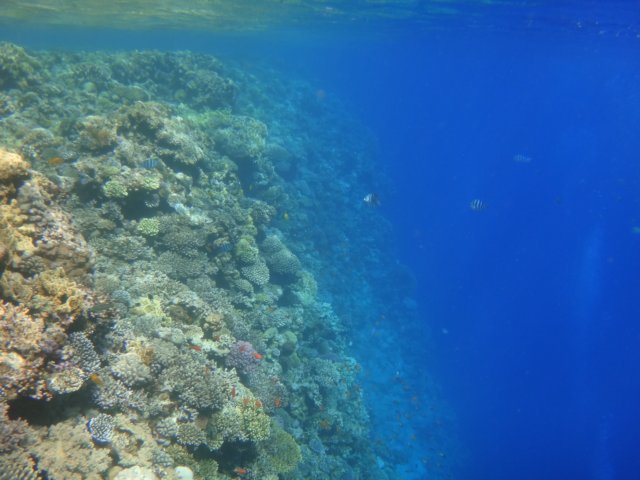 dsc03082.jpg